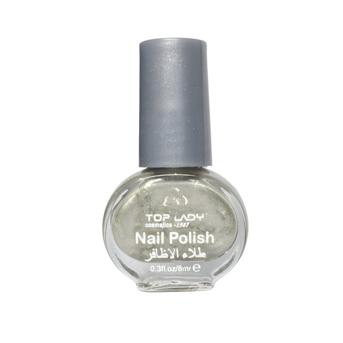 WhatsApp Image 2025-02-01 at 7.16.56 PM Top Lady Nail Polish - Silver - Image 1