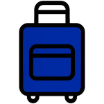 Handbags & Travel Accessories