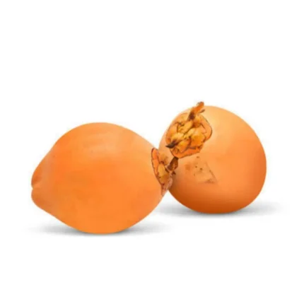 king coconut - flash online store