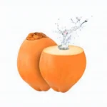 king coconut - flash online store