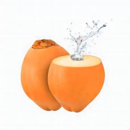 king coconut - flash online store